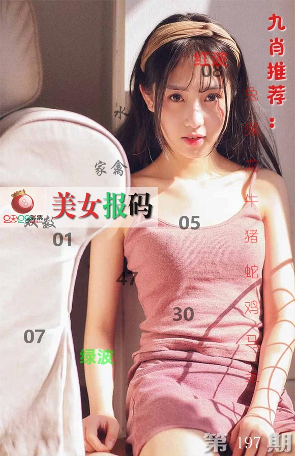 美女报码 第197期