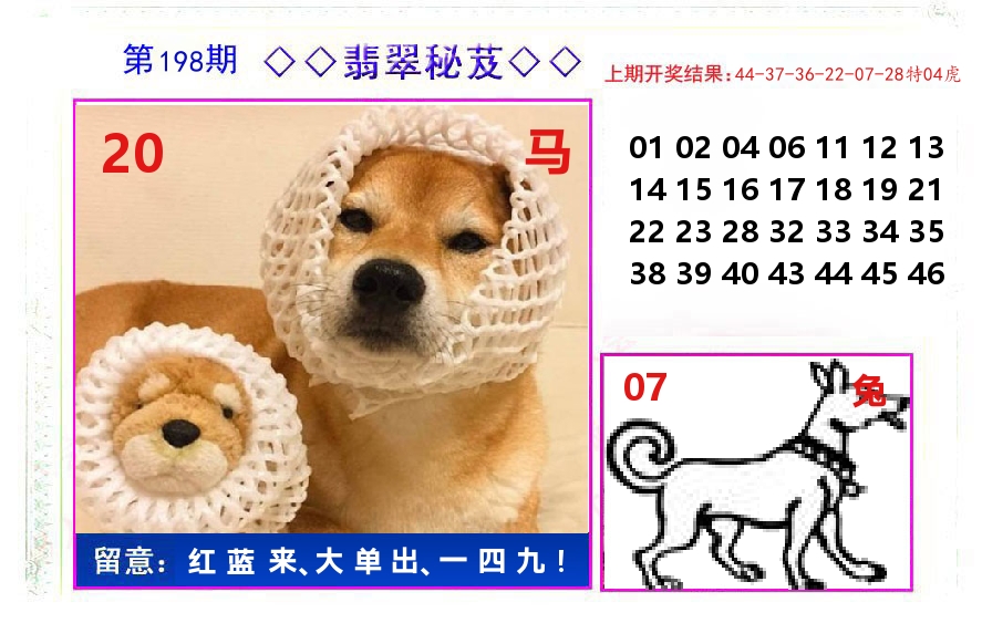 翡翠秘芨 第198期