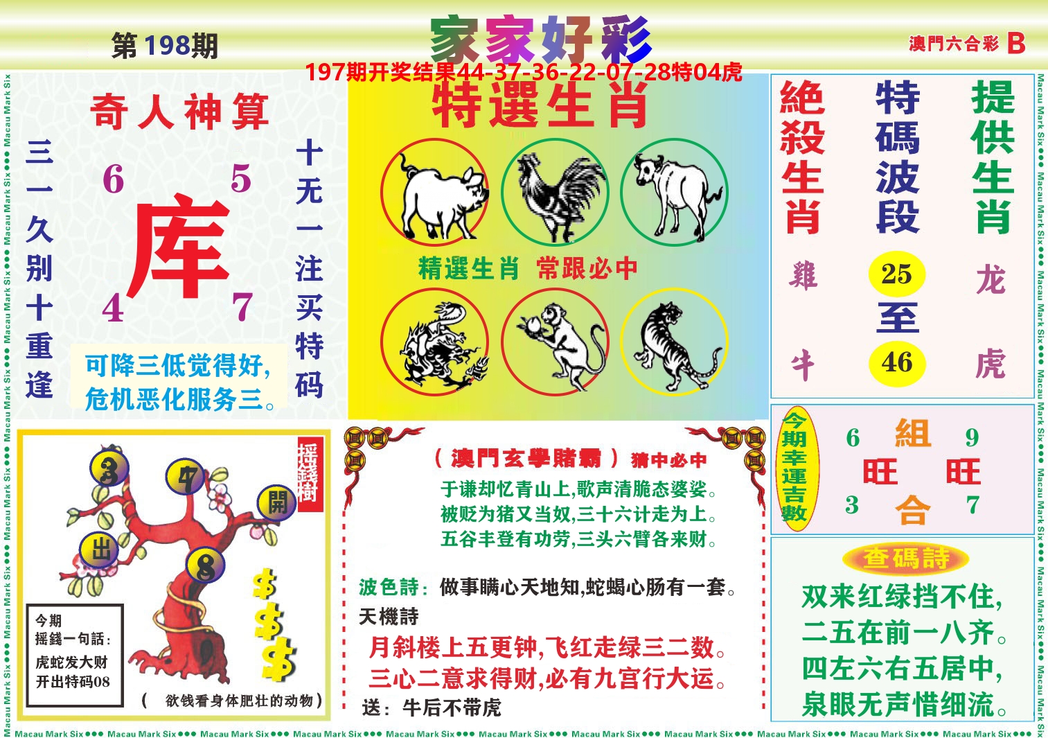 家家好彩B 第198期