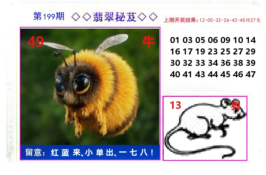 翡翠秘芨 第199期