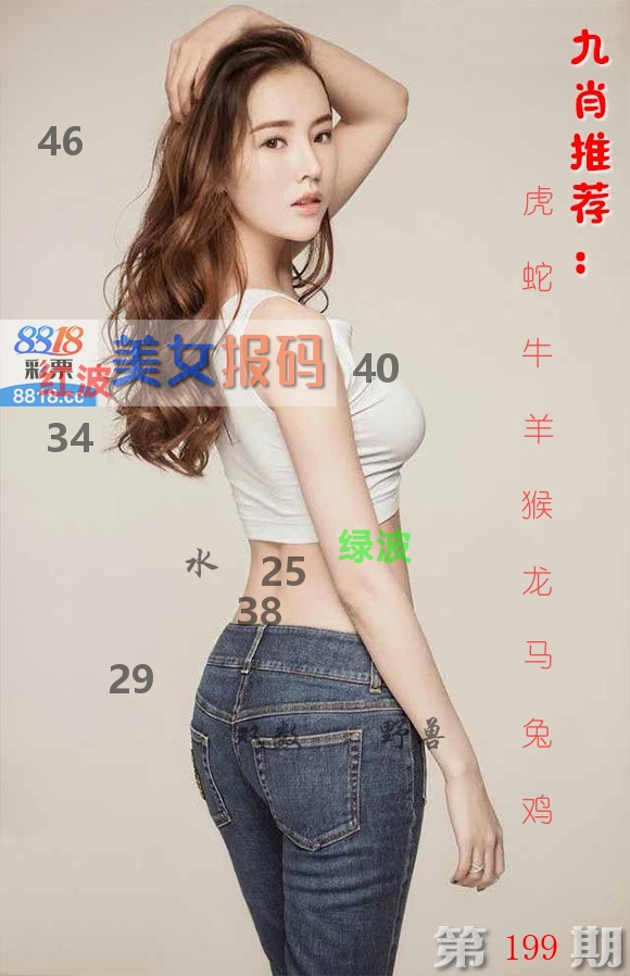 美女报码 第199期