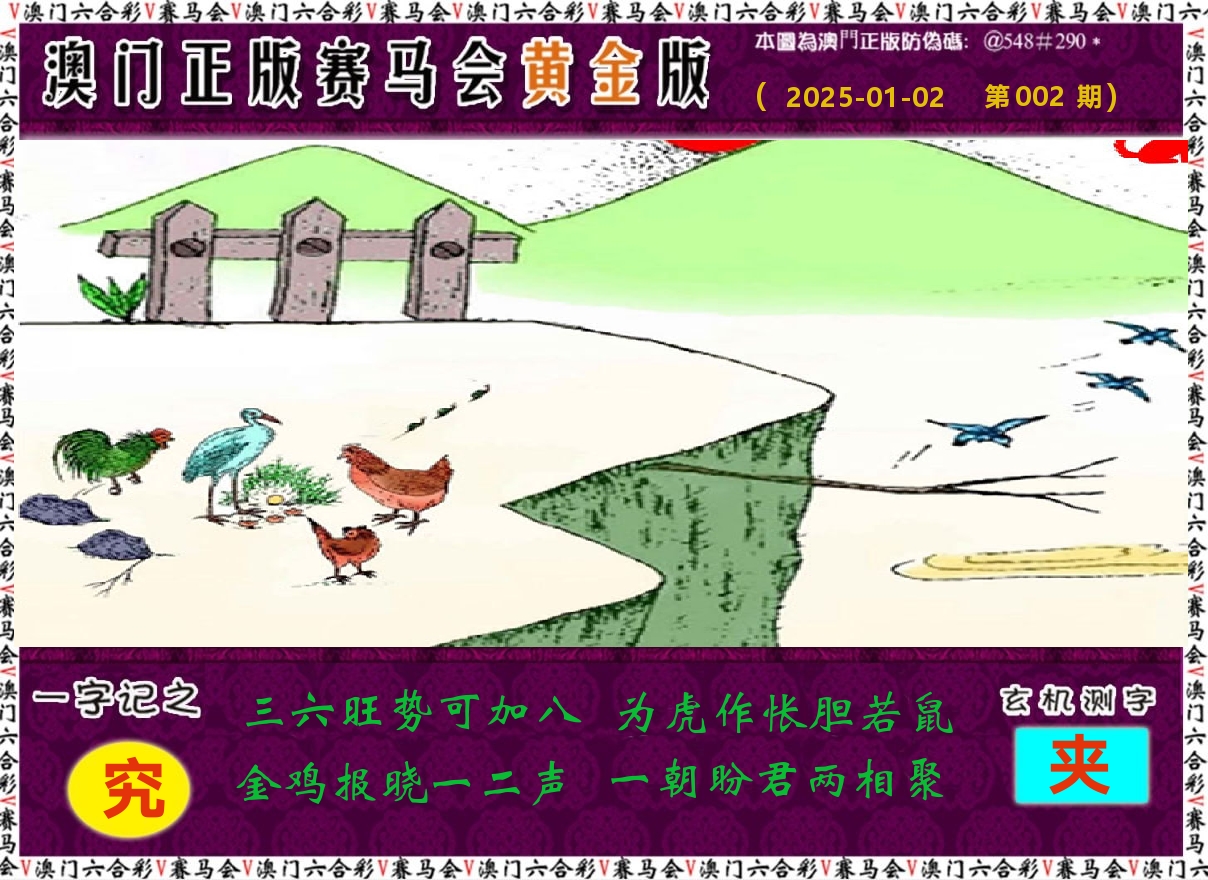赛马会黄金版 第2期