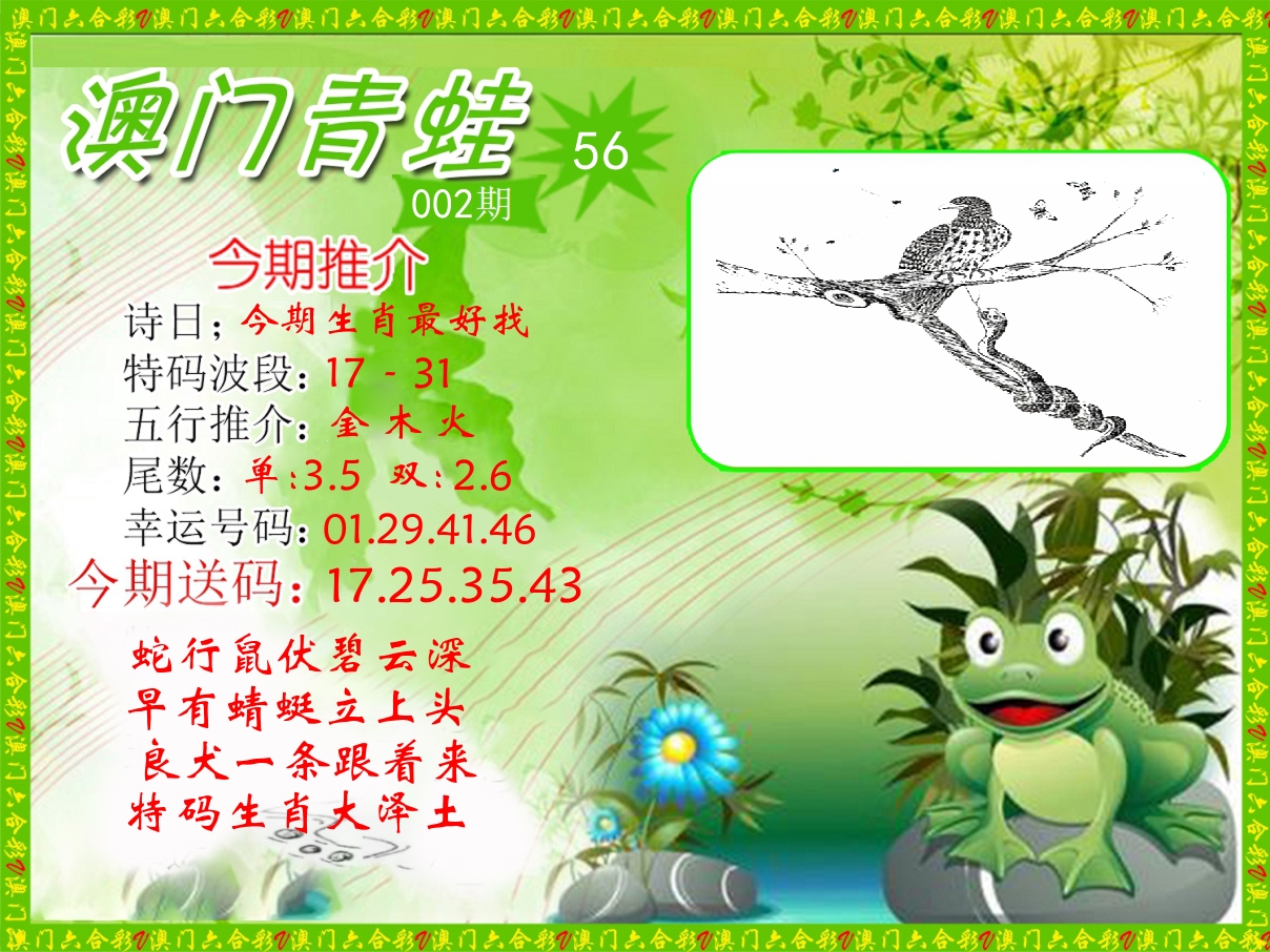 青蛙系列56 第2期