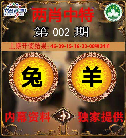 两肖中特 第2期