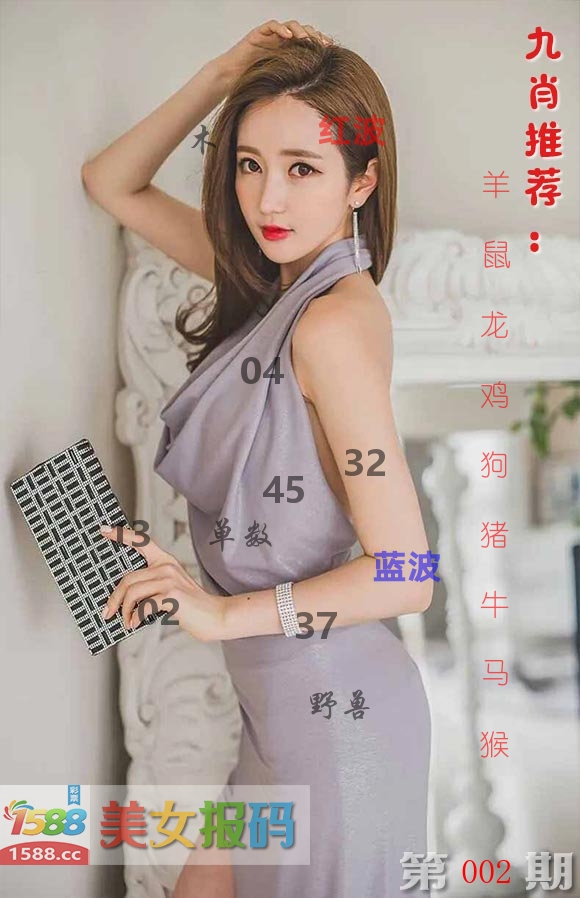 美女报码 第2期