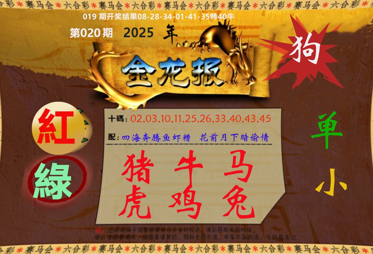 金龙报 第20期