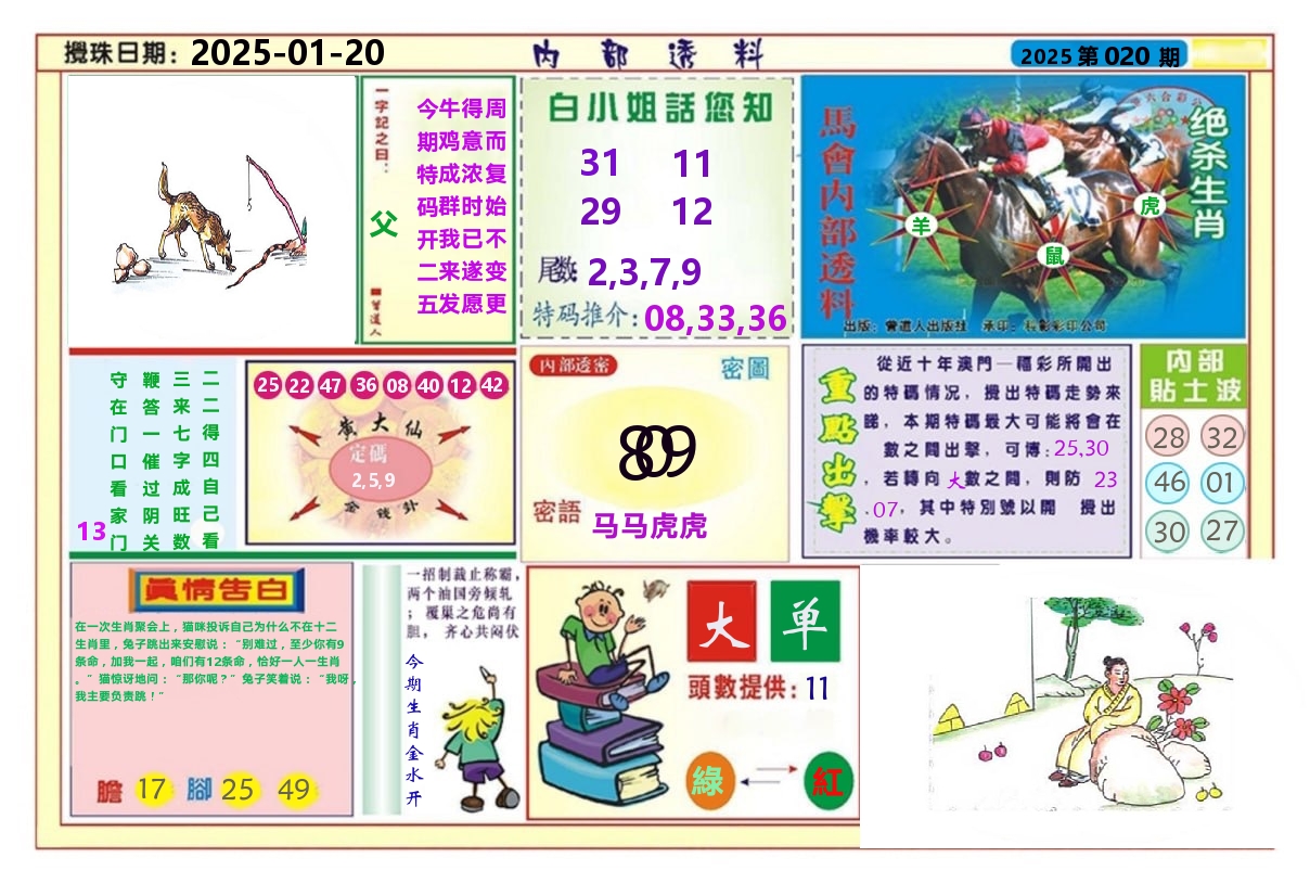 澳门内部透料A 第20期