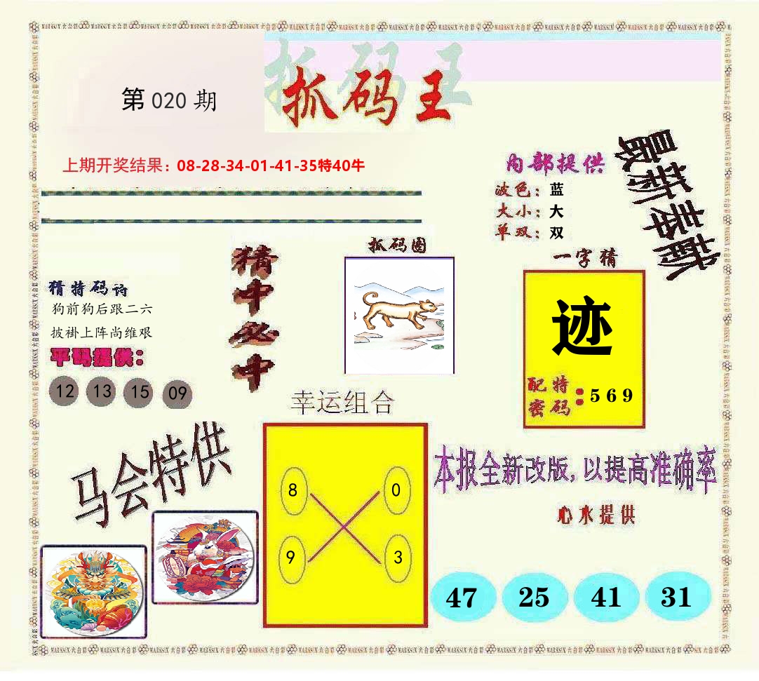 抓码王 第20期