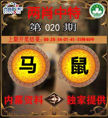 两肖中特 第20期