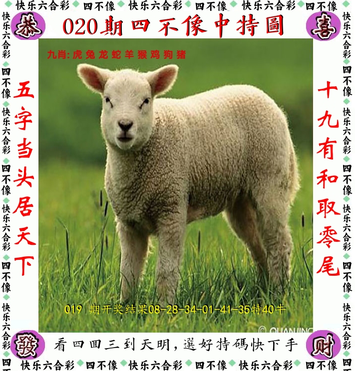 四不像 第20期