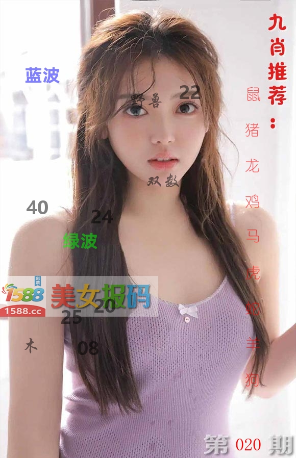 美女报码 第20期
