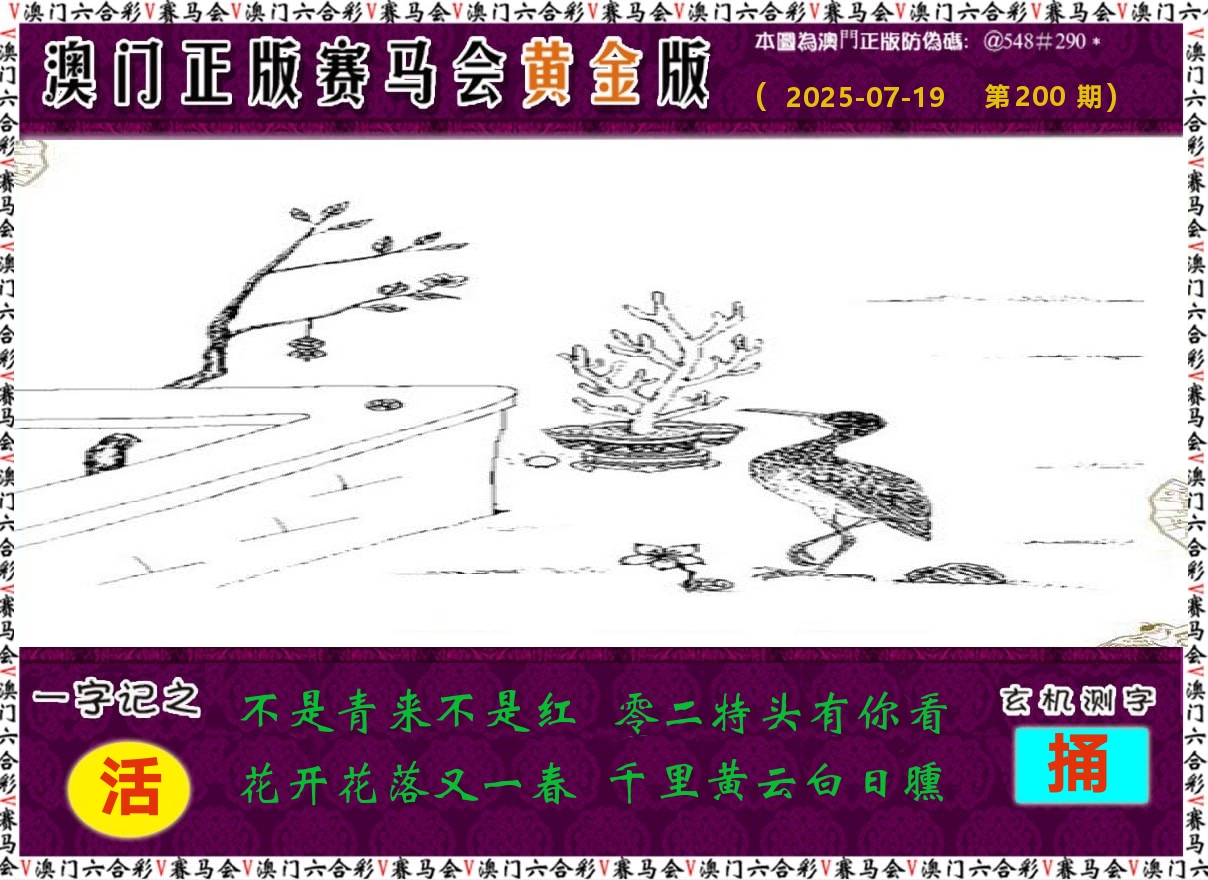 赛马会黄金版 第200期