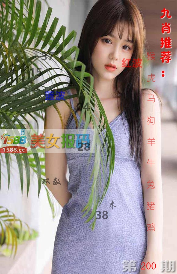 美女报码 第200期
