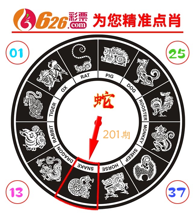精准点肖 第201期