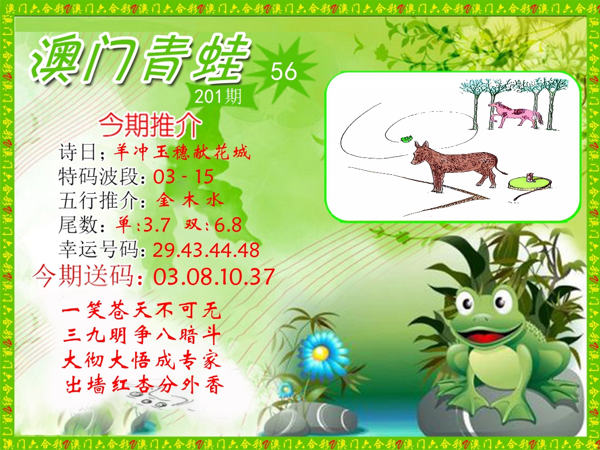 青蛙系列56 第201期