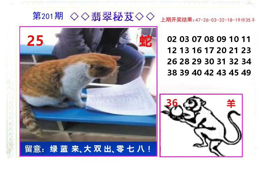 翡翠秘芨 第201期