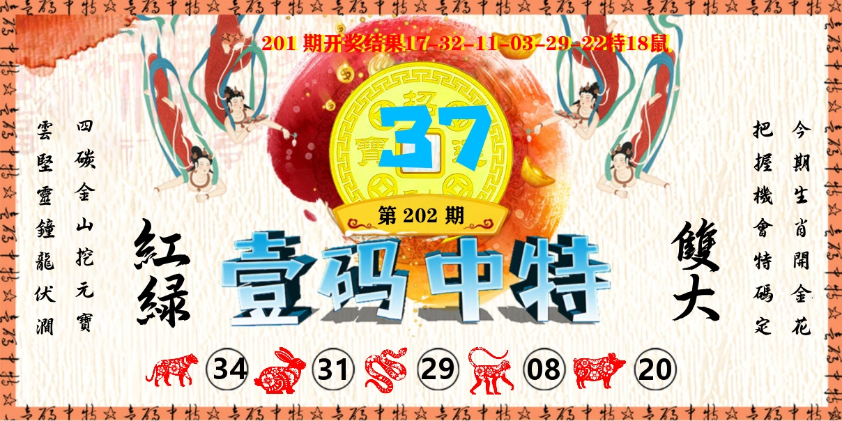 壹码中特 第202期