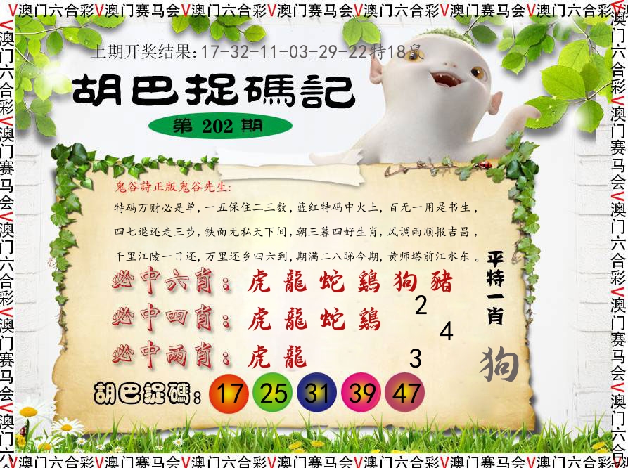 胡巴抓码记 第202期