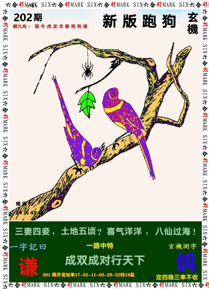 悟入其图 第202期