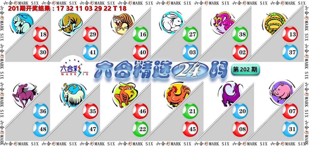 六合精选24码 第202期