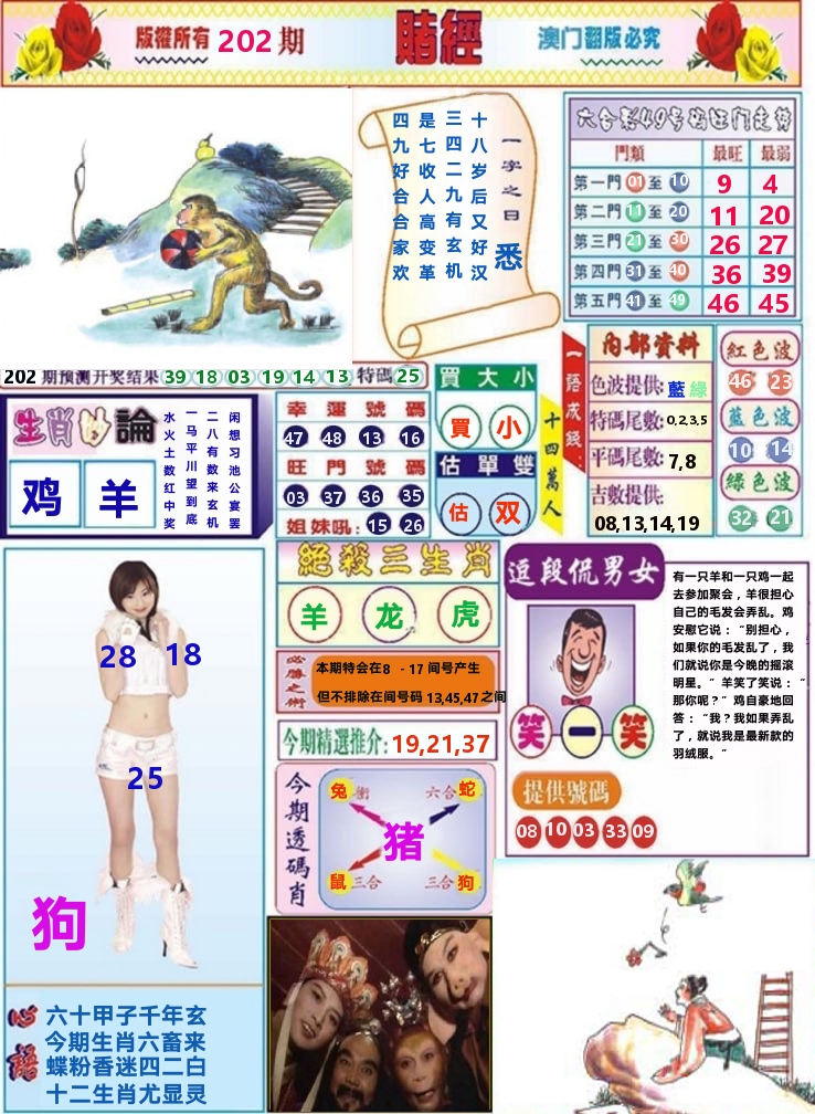 澳门赌经 第202期