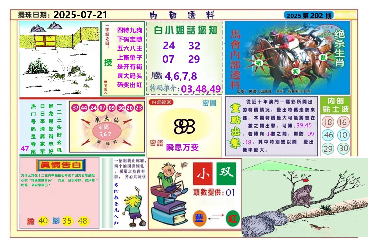 澳门内部透料A 第202期
