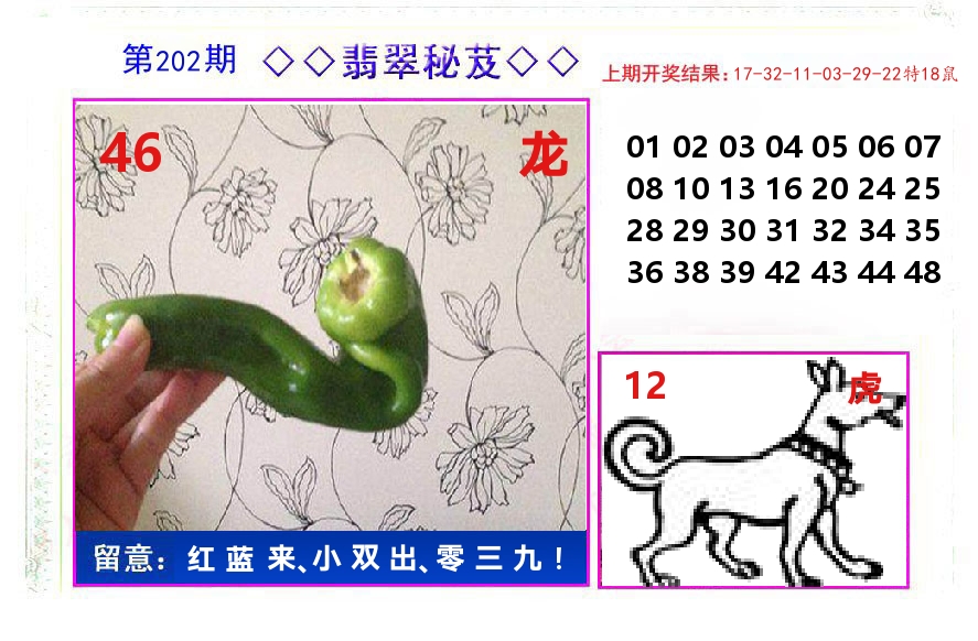 翡翠秘芨 第202期