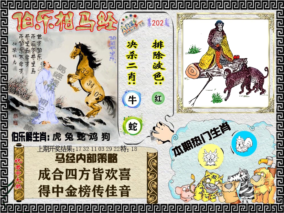 伯乐相马经 第202期