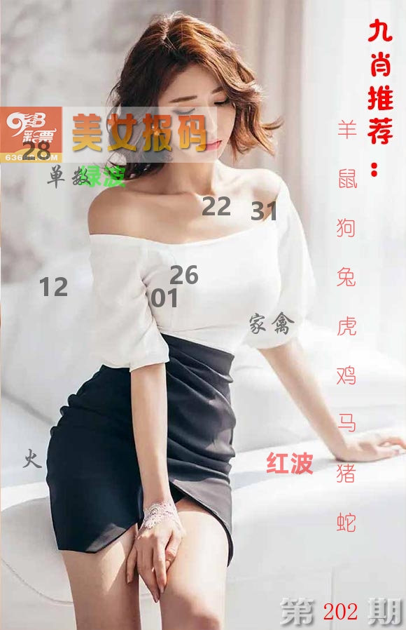 美女报码 第202期