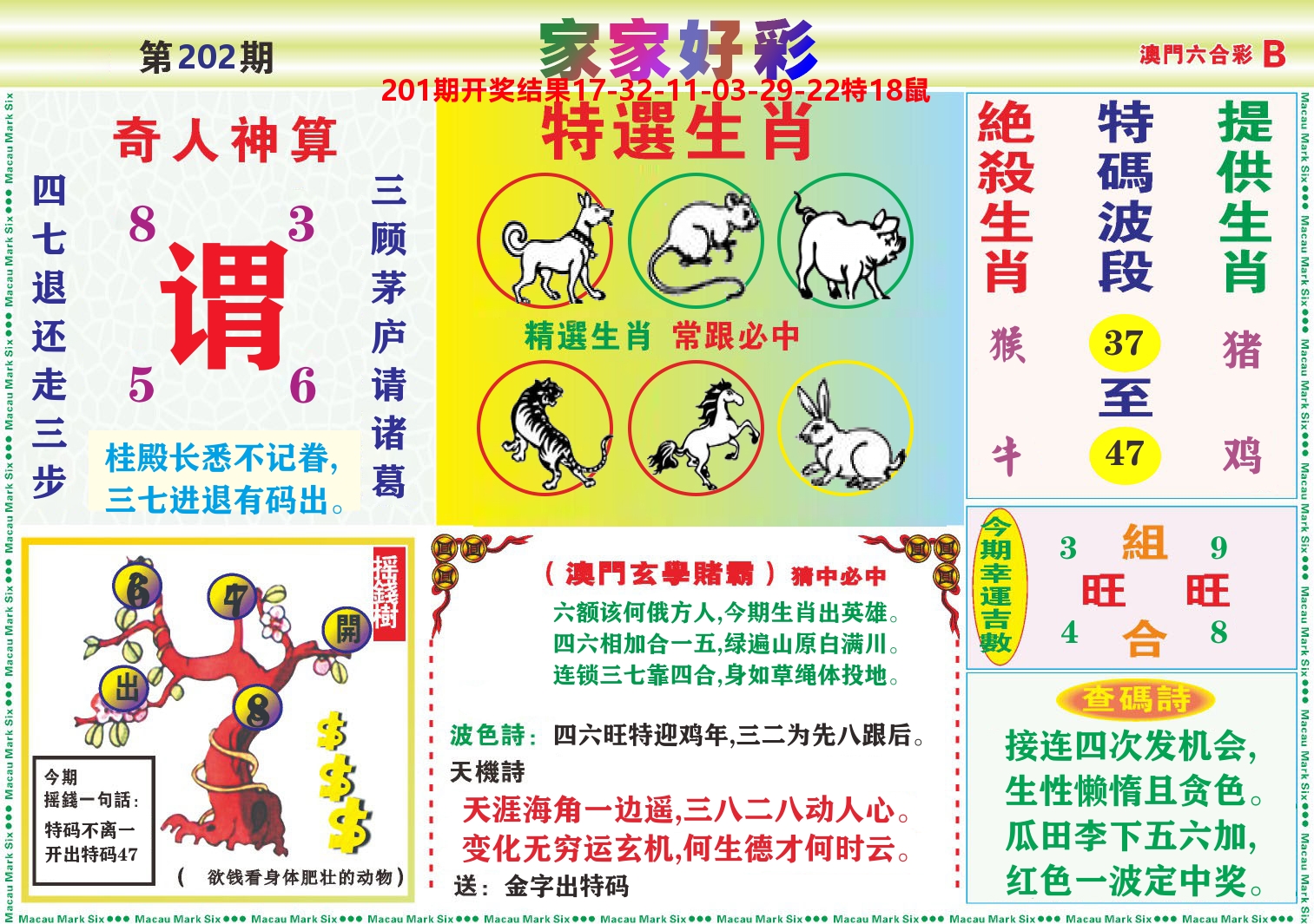 家家好彩B 第202期
