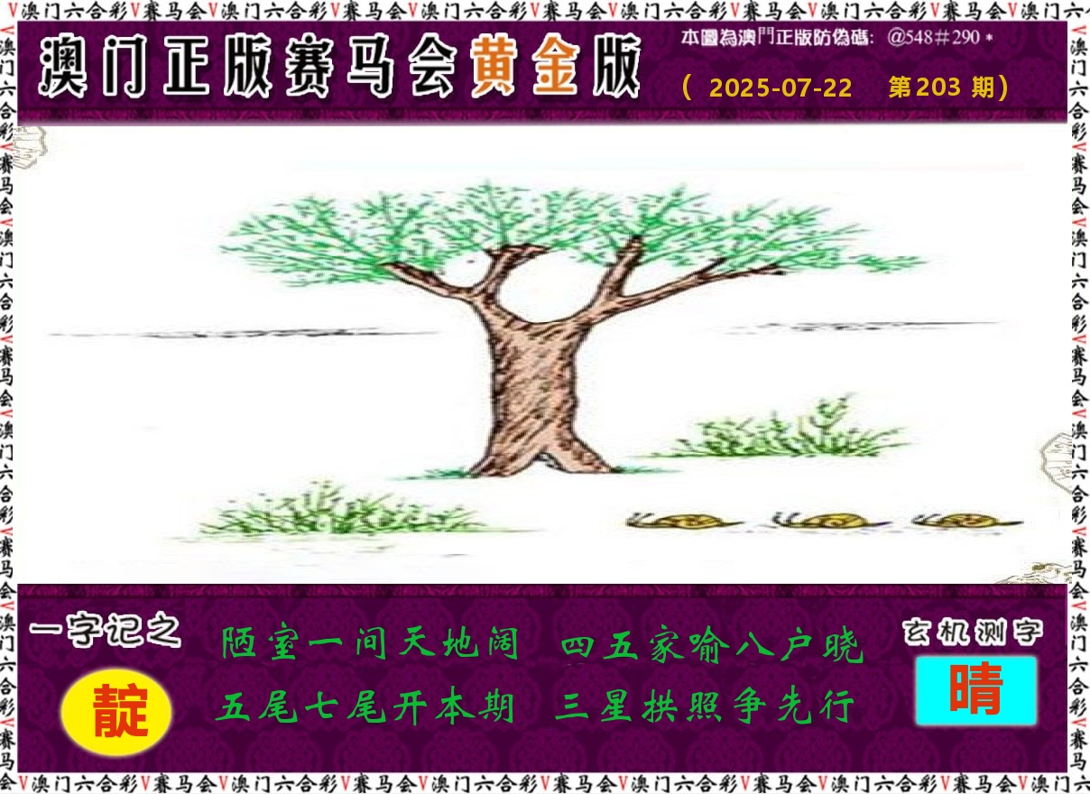 赛马会黄金版 第203期