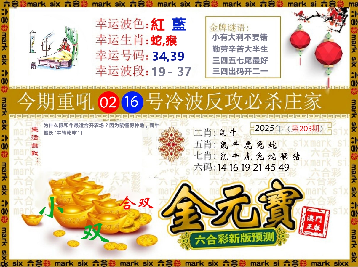 金元宝 第203期