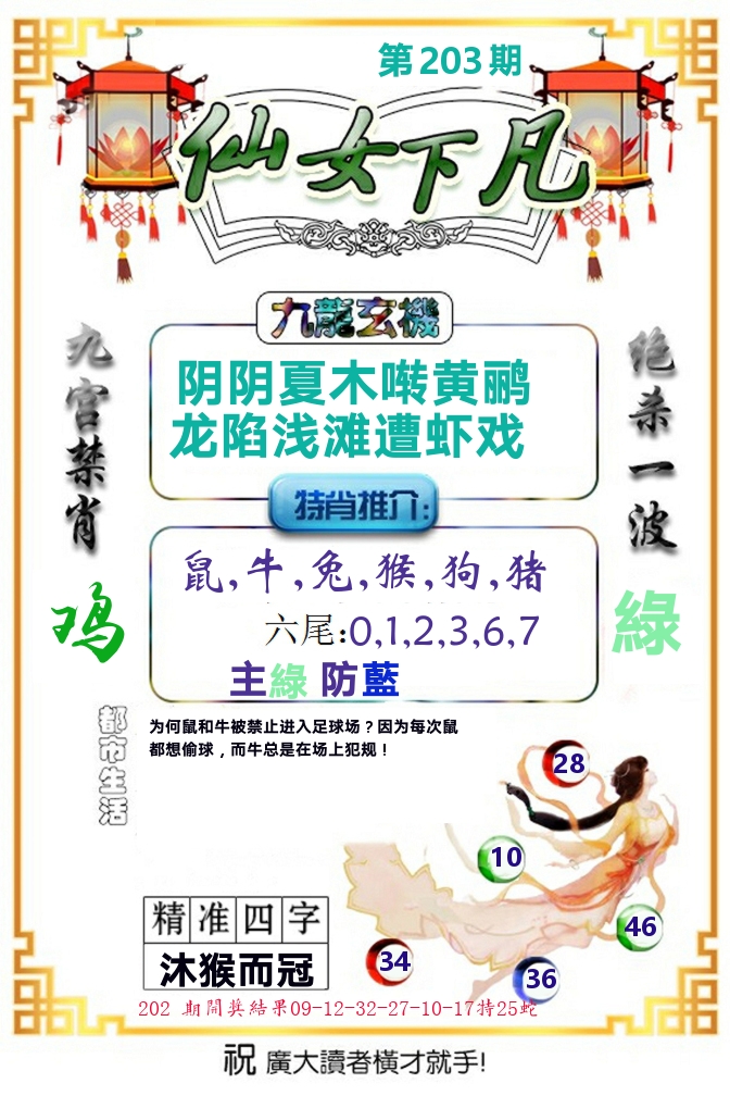 仙女下凡 第203期
