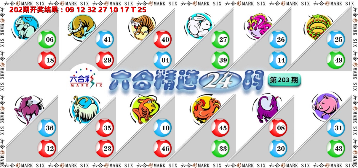六合精选24码 第203期