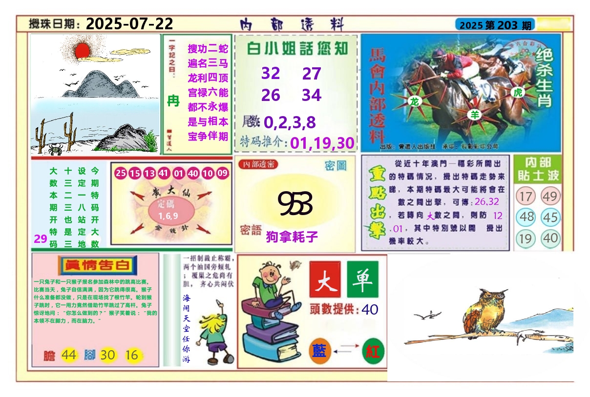 澳门内部透料A 第203期