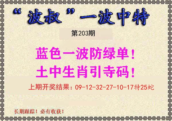 波叔中特 第203期