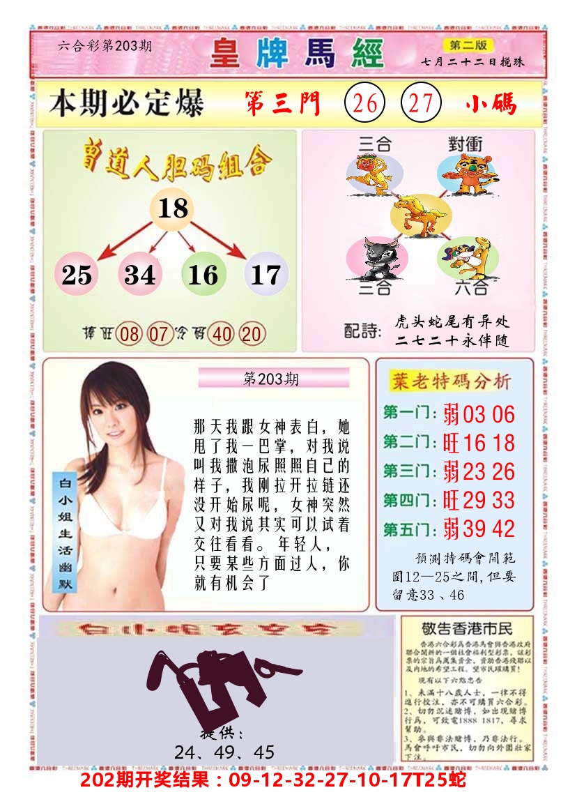 澳门皇牌马经B 第203期