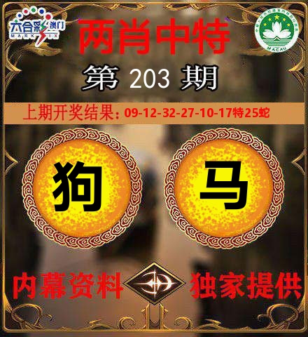 两肖中特 第203期