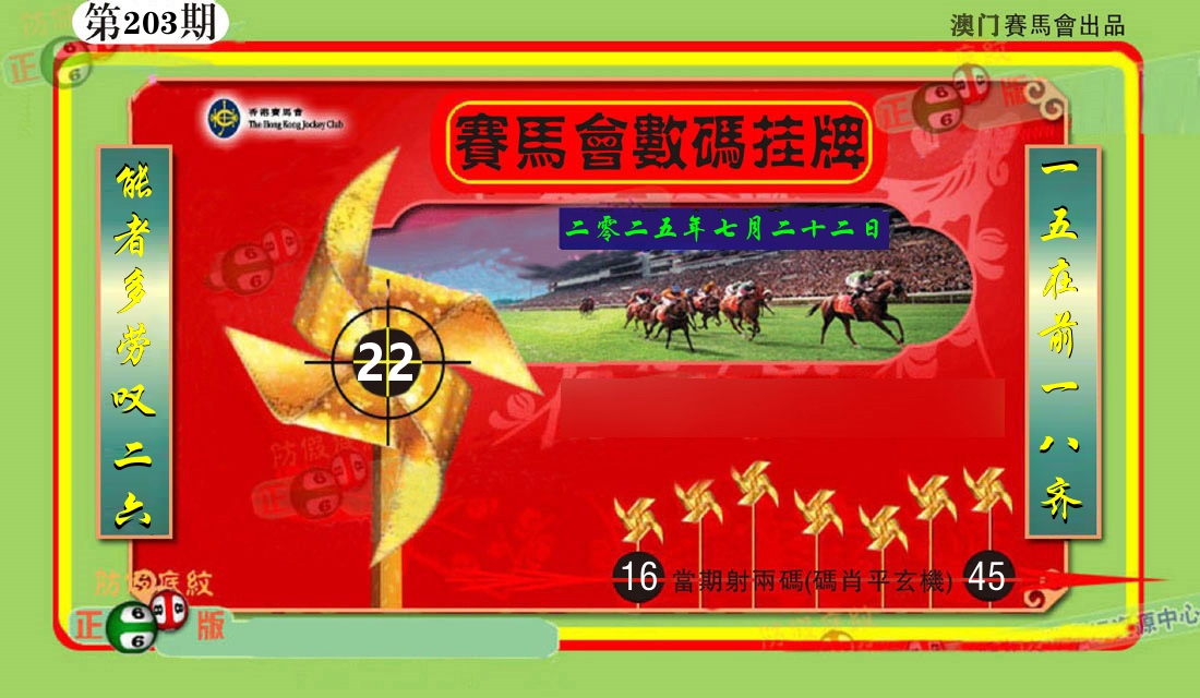 赛马会数码挂牌 第203期