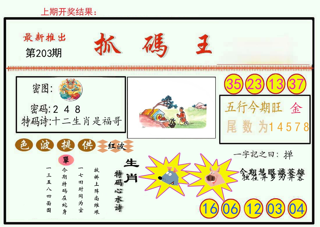 最新抓码王 第203期