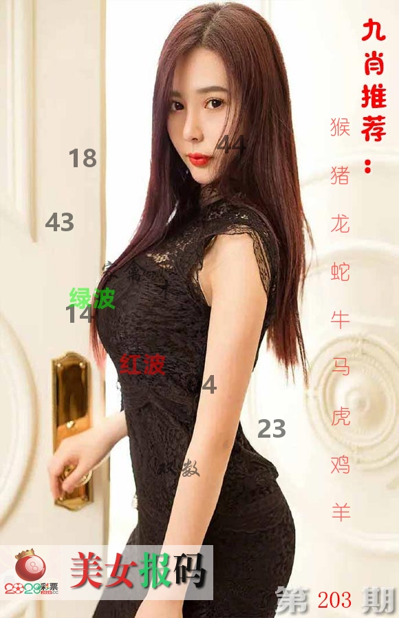 美女报码 第203期