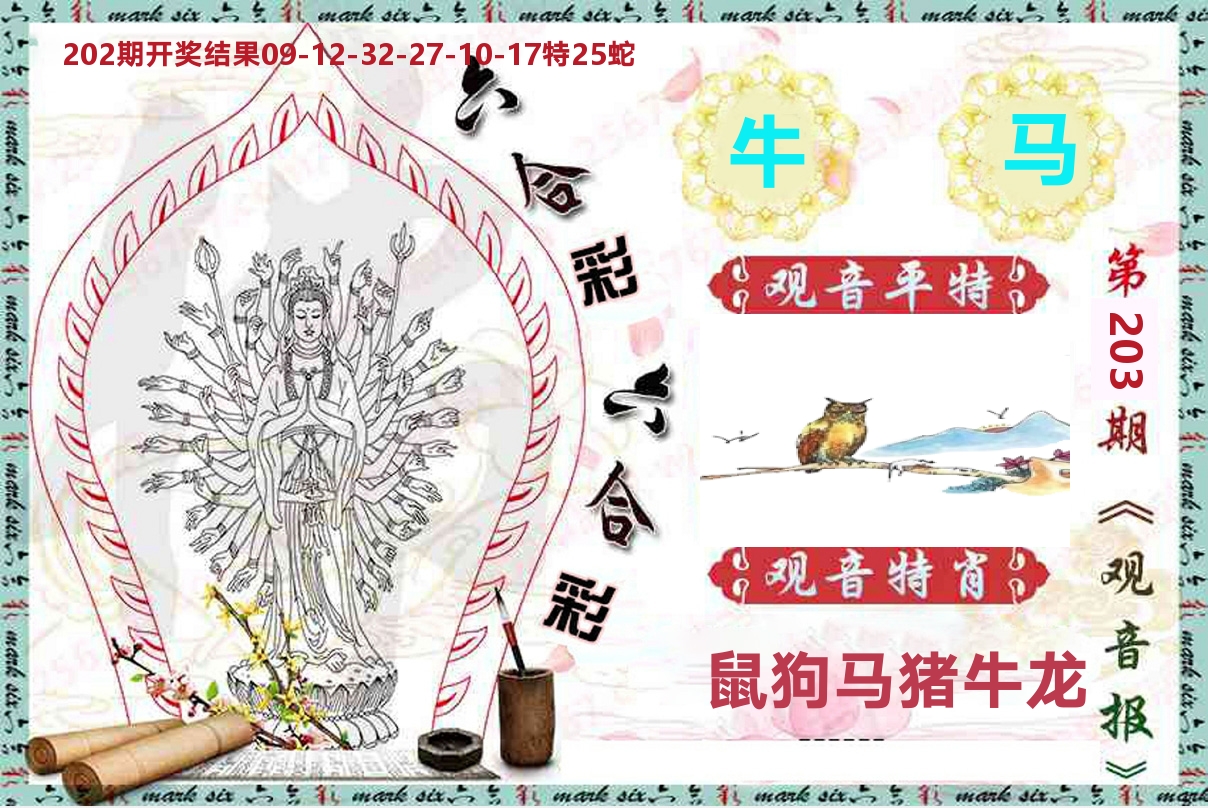 观音报 第203期
