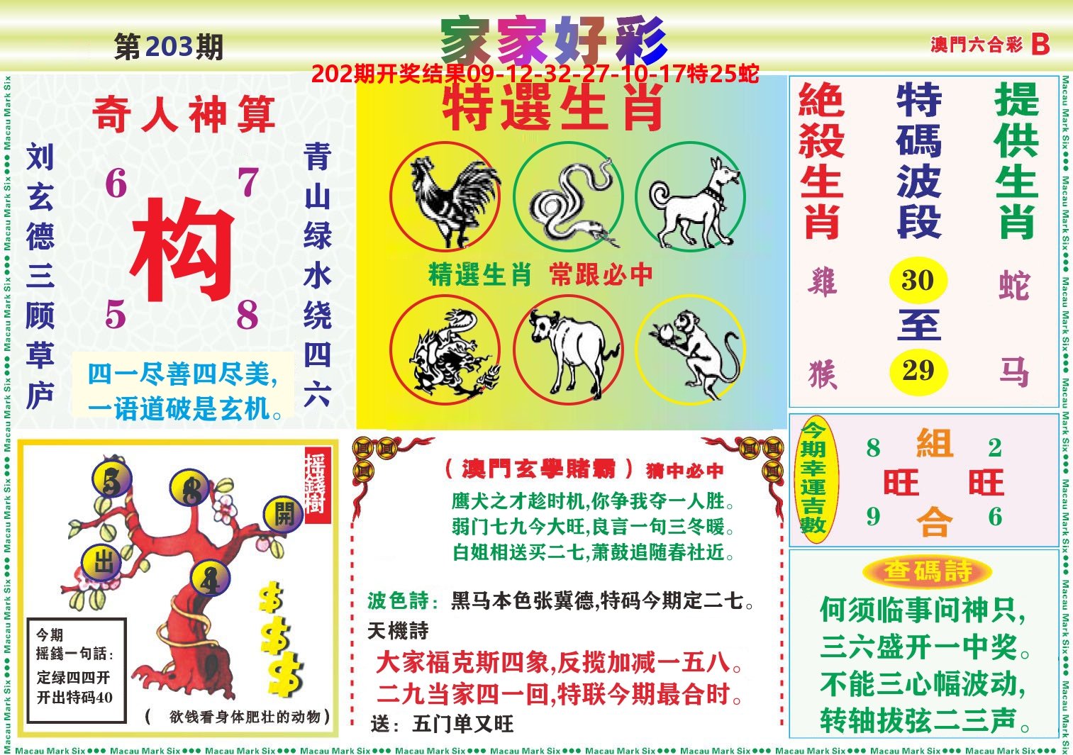 家家好彩B 第203期
