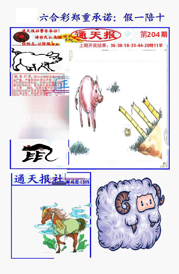 通天报 第204期