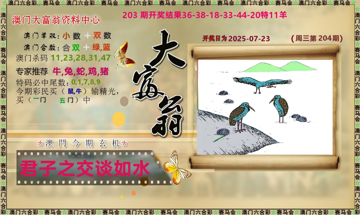 新大富翁 第204期