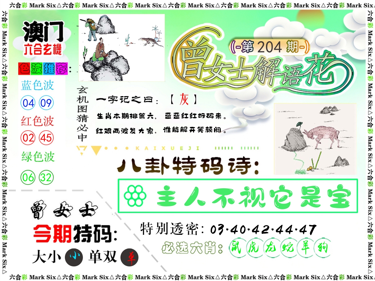曾女士解语花 第204期