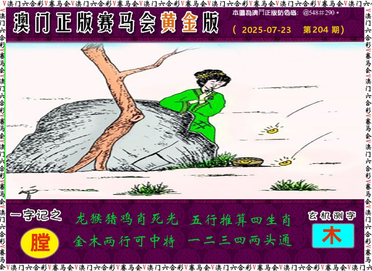 赛马会黄金版 第204期