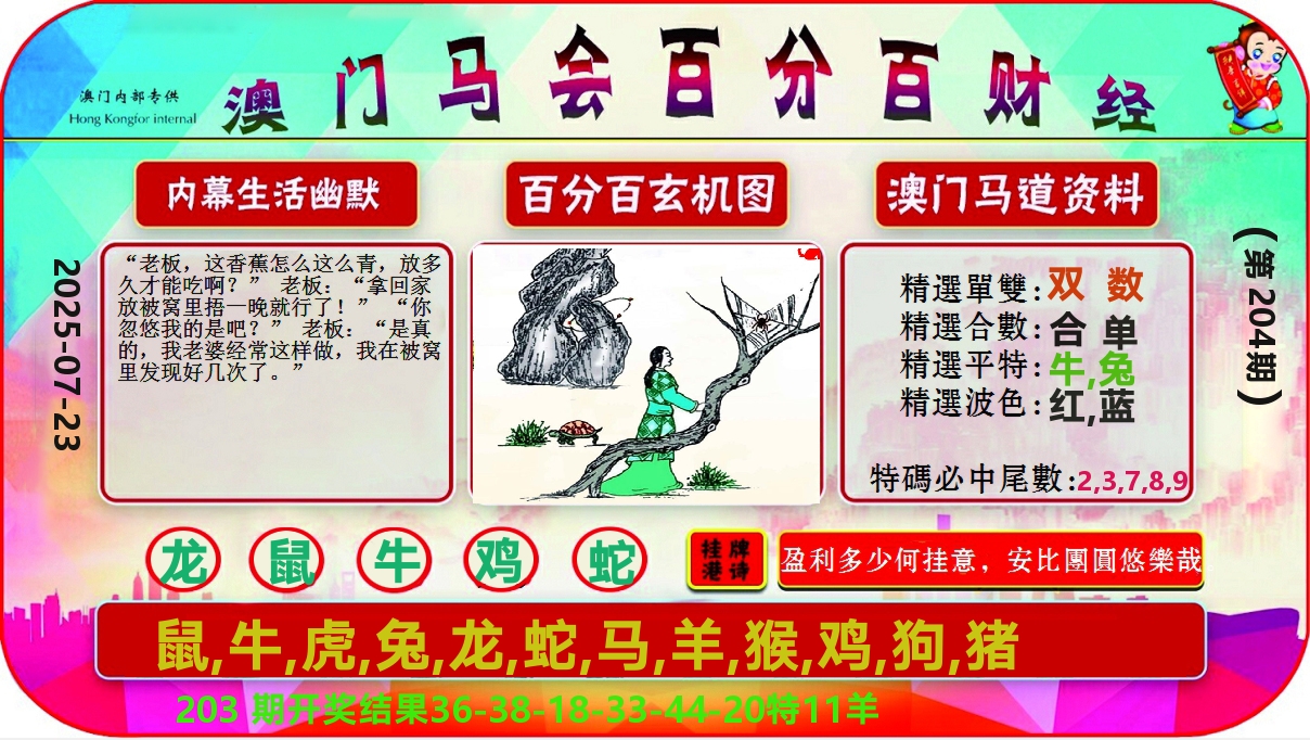 百分百财经 第204期