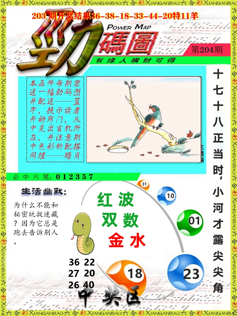 劲码图 第204期