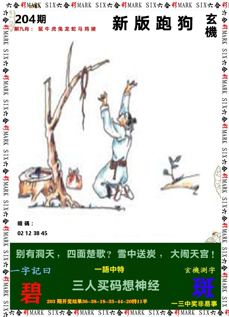 悟入其图 第204期